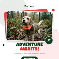 AI-generated marketing creative example 4